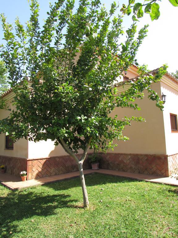 Casa Rural Oregano Villa Carmona  Exterior photo