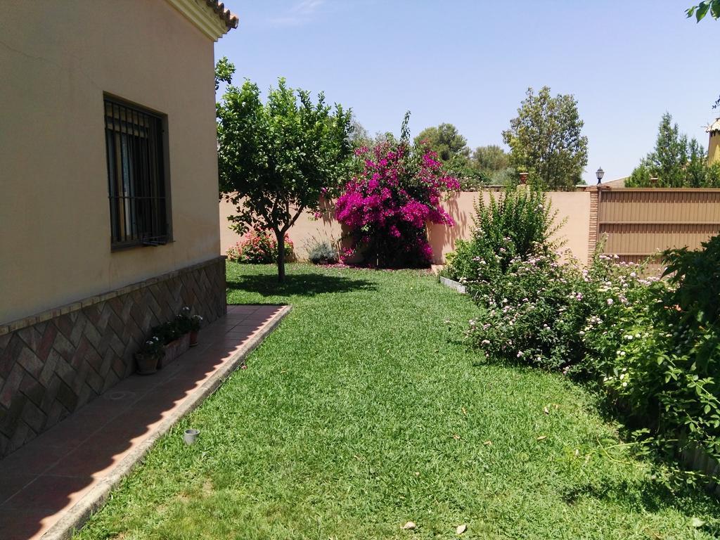 Casa Rural Oregano Villa Carmona  Exterior photo